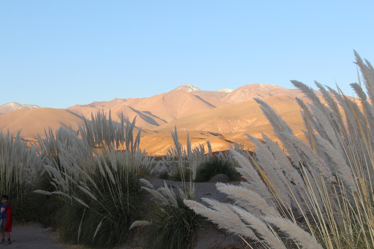 Cabana Nachitor San Pedro De Atacama Extérieur photo